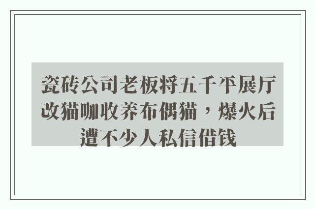 瓷砖公司老板将五千平展厅改猫咖收养布偶猫，爆火后遭不少人私信借钱