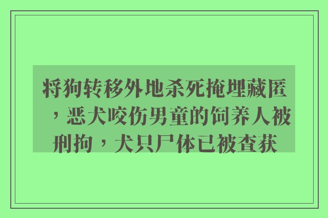 将狗转移外地杀死掩埋藏匿，恶犬咬伤男童的饲养人被刑拘，犬只尸体已被查获