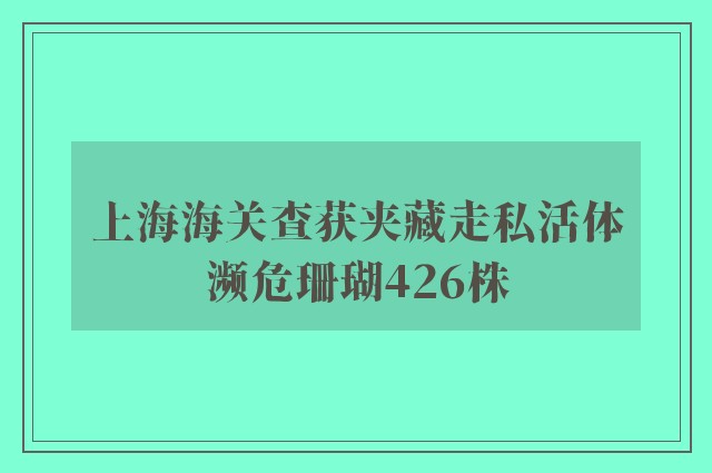 上海海关查获夹藏走私活体濒危珊瑚426株