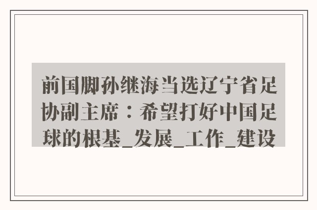 前国脚孙继海当选辽宁省足协副主席：希望打好中国足球的根基_发展_工作_建设